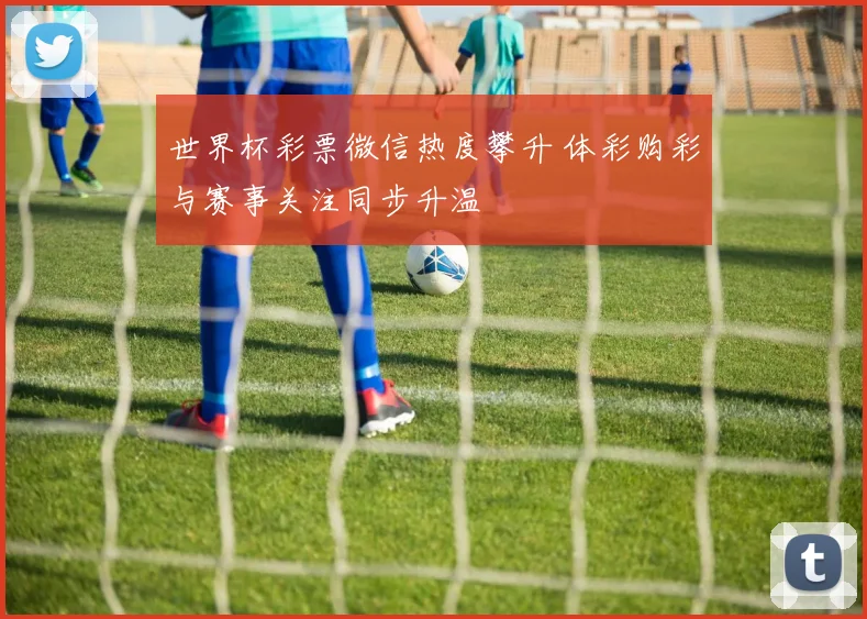 世界杯彩票微信热度攀升 体彩购彩与赛事关注同步升温
